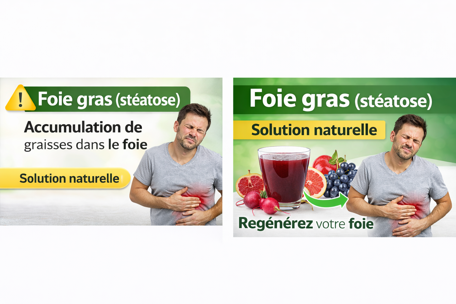 Traitement 3 : Le régénérateur hépatique